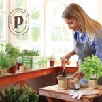 Planters' Choice 9 Herb Indoor Window Garden Kit - Birthday Gifts - House Plants... - Image 4
