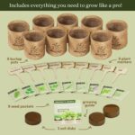 Planters' Choice 9 Herb Indoor Window Garden Kit - Birthday Gifts - House Plants... - Image 5