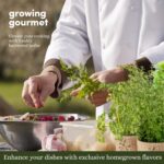 Planters' Choice 9 Herb Indoor Window Garden Kit - Birthday Gifts - House Plants... - Image 7