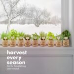 Planters' Choice 9 Herb Indoor Window Garden Kit - Birthday Gifts - House Plants... - Image 9