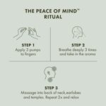 Origins Peace of Mind On-the-Spot Relief | Relaxing Aromatherapy Experience With... - Image 3