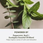 Origins Peace of Mind On-the-Spot Relief | Relaxing Aromatherapy Experience With... - Image 6