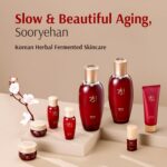 Sooryehan Hyobidam Fermented Skincare Gift Set with Wild Ginseng - Premium Korea... - Image 4