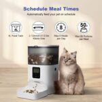 ANDOLL HOME Automatic Cat Feeder, 4L Cat Food Dispenser with 10s Voice Recorder,... - Image 3