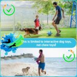 QDAN Dog Toy Balls, World Cup Balls for Dogs, Soccer Ball for Dogs with Straps, ... - Image 7