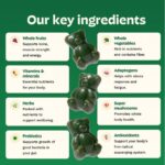 Gruns Adult Super Greens Multivitamin Gummies, Superfood Gummy Vitamins for Wome... - Image 3