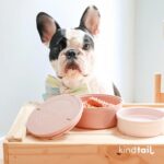 KindTail Dog Travel Bowls - Set of 2 Portable Pet Food & Water Dishes with Lid &... - Image 10