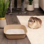 Kitty Sift Disposable Cat Litter Box Large, 6 Count, Durable Portable for Travel... - Image 8