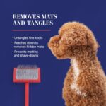 Chris Christensen Big G Dog Slicker Brush for Dogs (Goldendoodles, Labradoodles,... - Image 8