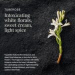 Kupaloke Tuberose Body and Hair Mist from Hawaii, Hair Perfume for a Light, Hydr... - Image 6