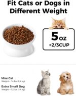 LoeJan Elevated Cat Food Bowl, 5 Oz Ceramic Raised and Tilted Water Bowl, Anti V... - Image 3
