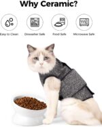 LoeJan Elevated Cat Food Bowl, 5 Oz Ceramic Raised and Tilted Water Bowl, Anti V... - Image 5
