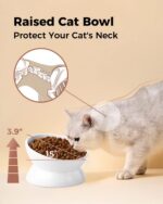 LoeJan Elevated Cat Food Bowl, 5 Oz Ceramic Raised and Tilted Water Bowl, Anti V... - Image 6