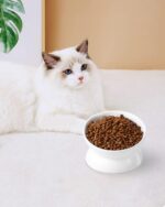 LoeJan Elevated Cat Food Bowl, 5 Oz Ceramic Raised and Tilted Water Bowl, Anti V... - Image 8