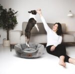 Asvin Small Dog Bed for Small Dogs, Cat Beds for Indoor Cats, Pet Bed for Puppy ... - Image 7