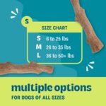 Pupstages Dogwood Dog Chew Toy, Made in the USA – Real-Wood Blend, Natural Flavo... - Image 4
