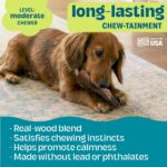 Pupstages Dogwood Dog Chew Toy, Made in the USA – Real-Wood Blend, Natural Flavo... - Image 5