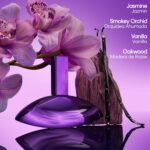 Calvin Klein Euphoria Elixir Eau de Parfum Trio Gift Set worn by Rosalia – Women... - Image 6
