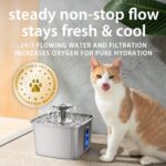 Veken Innovation Award Winner Stainless Steel Cat Water Fountain, 108oz/3.2L Aut... - Image 7