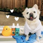 earthbath Vanilla & Almond Dog Shampoo and Conditioner Set - Oatmeal Shampoo & C... - Image 6