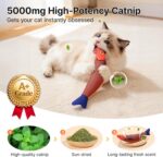 Potaroma Cat Toys Saury Fish, 3 Pack, Catnip Crinkle Sound, Soft and Durable, In... - Image 3