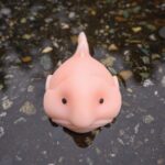 Accoutrements Sunny The Blobfish - Novelty Toy- Squishy Toy - Image 6
