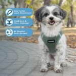 Best Pet Supplies Voyager Step-in Air Harness - All Weather Mesh, Reflective, No... - Image 3