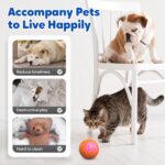 Upgraded Interactive Dog Ball, 2025 New Activated Automatic Rolling Balls for Do... - Image 4