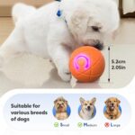 Upgraded Interactive Dog Ball, 2025 New Activated Automatic Rolling Balls for Do... - Image 7