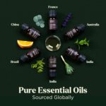 Lagunamoon Essential Oils Aromatherapy Set - 6 Oils for Diffusers, Home Care, Ca... - Image 4