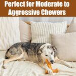 SPOT Bam-Bones Plus T Bone - Bamboo Fiber & Nylon, Durable Long Lasting Dog Chew... - Image 6