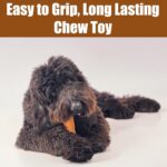 SPOT Bam-Bones Plus T Bone - Bamboo Fiber & Nylon, Durable Long Lasting Dog Chew... - Image 7