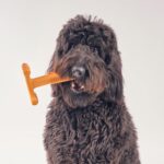 SPOT Bam-Bones Plus T Bone - Bamboo Fiber & Nylon, Durable Long Lasting Dog Chew... - Image 12