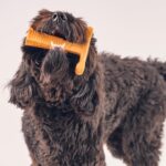 SPOT Bam-Bones Plus T Bone - Bamboo Fiber & Nylon, Durable Long Lasting Dog Chew... - Image 18