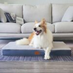 Sunheir Orthopedic Dog Bed for Large Dogs - Big Waterproof Dog Crate Bed with Re... - Image 6