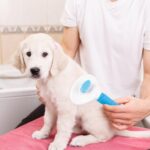 Depets Self Cleaning Slicker Brush, Dog Cat Bunny Pet Grooming Shedding Brush - ... - Image 9