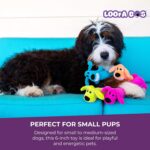 Multipet Original Loofa Dog Plush Toy - Squeaky Toy for All Dogs - Extra Soft Pl... - Image 7