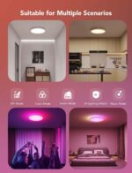 Govee Smart Ceiling Light, RGBIC LED Ceiling Light Fixture, 2400LM Flush Mount L... - Image 8