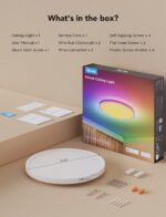 Govee Smart Ceiling Light, RGBIC LED Ceiling Light Fixture, 2400LM Flush Mount L... - Image 10