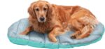 FurHaven Outdoor Travel Dog Bed for Large Dogs, Lightweight Trail Pup Travel Pil... - Image 3