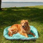 FurHaven Outdoor Travel Dog Bed for Large Dogs, Lightweight Trail Pup Travel Pil... - Image 6