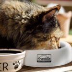Franklin Pet Supply Co. Spill Proof Pet Bowl - No Splash Travel Water + Food Dis... - Image 9