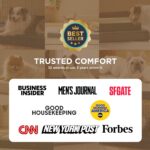Bedsure Dog Beds Large Sized Dog - Comfy Flat Pet Beds with Removable Washable C... - Image 7