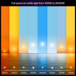 Philips Hue Smart LED A19 Bulb 2-Pack, White Color Ambiance, E26 Base, 7.2W, Ful... - Image 4