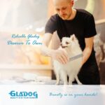 GLADOG Professional 5 in 1 Dog Grooming Scissors Set with Safety Round Tips, Sha... - Image 6