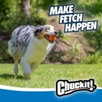 Chuckit! Ultra Ball Dog Toy - Medium Bouncy Fetch Balls For Dogs 20-60 lbs - Mad... - Image 4