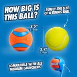 Chuckit! Ultra Ball Dog Toy - Medium Bouncy Fetch Balls For Dogs 20-60 lbs - Mad... - Image 5