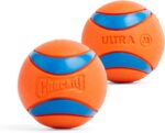 Chuckit! Ultra Ball Dog Toy - Medium Bouncy Fetch Balls For Dogs 20-60 lbs - Mad... - Image 9