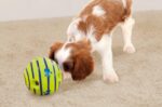 Wobble Wag Giggle Ball, Interactive Dog Toy, Fun Giggle Sounds When Rolled or Sh... - Image 3