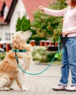 Dynmeow Reflective Dog Collar and Leash Set, 6FT Strong Climbing Rope Leash with... - Image 6